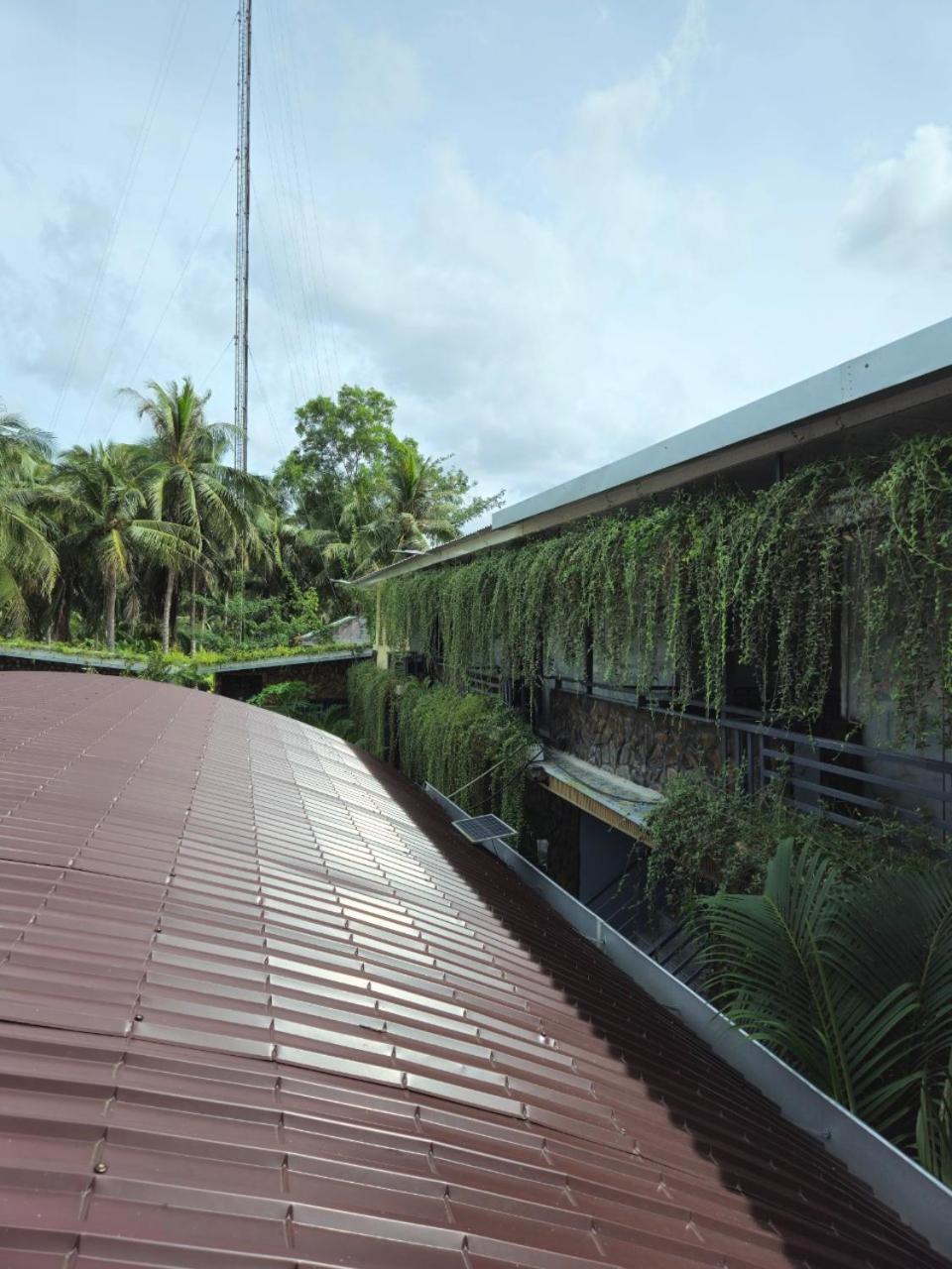 Homestay Bao Binh Ben Tre Buitenkant foto