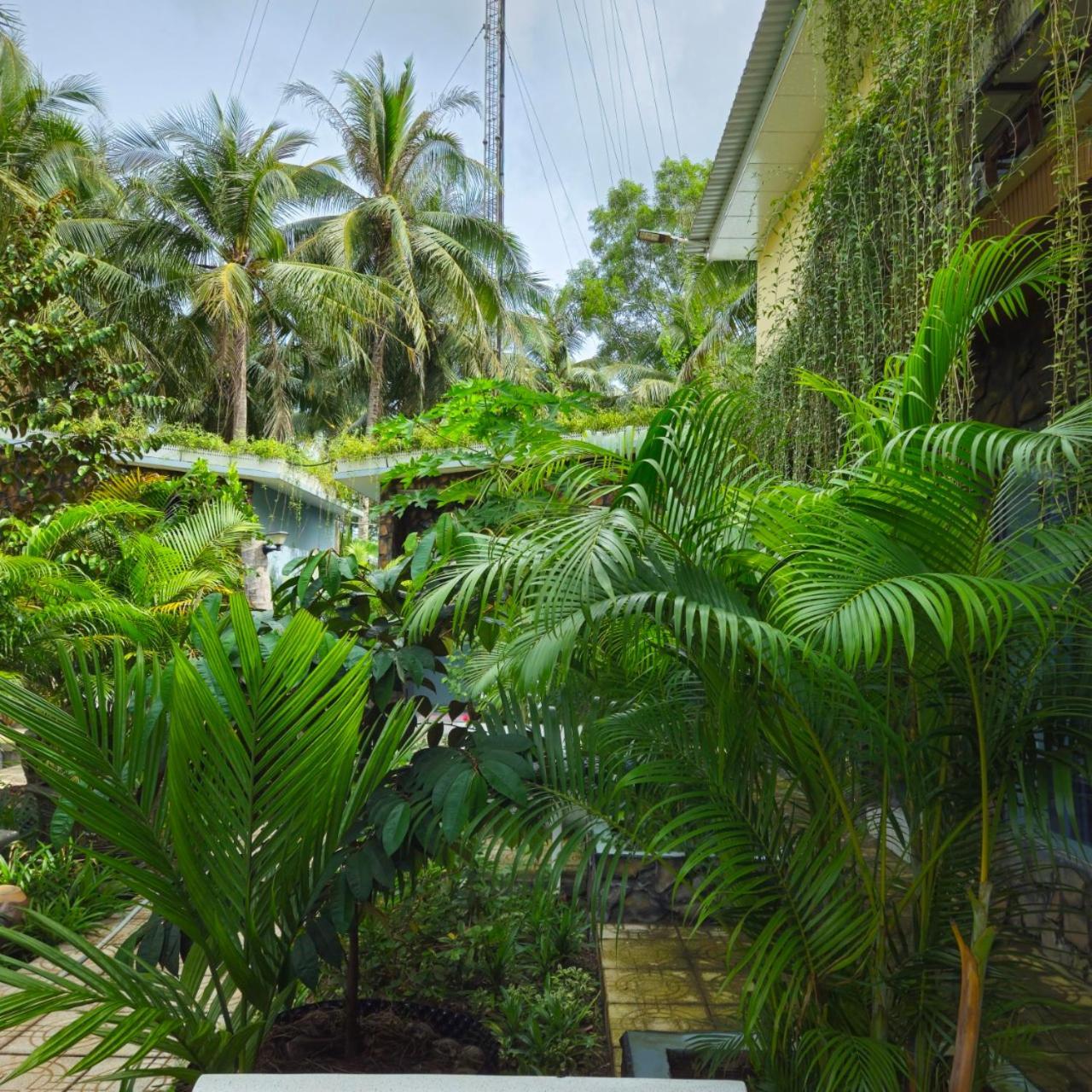 Homestay Bao Binh Ben Tre Buitenkant foto