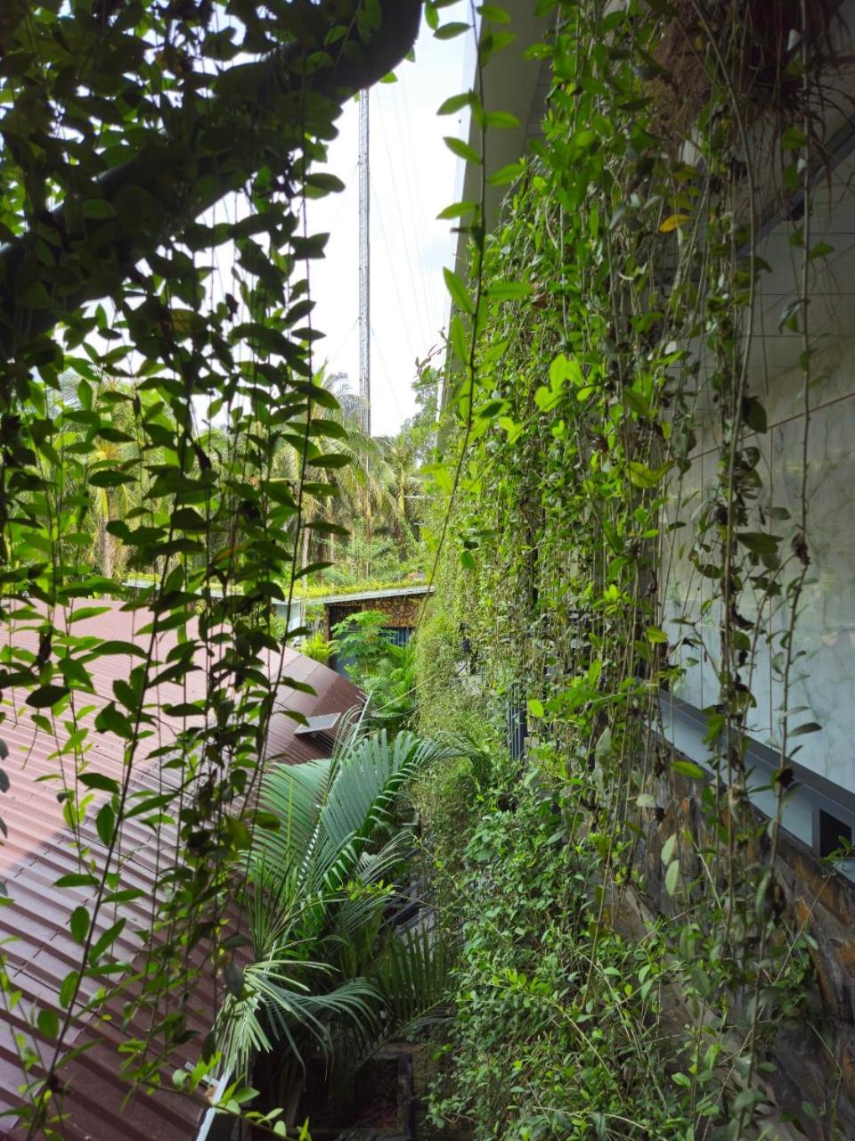 Homestay Bao Binh Ben Tre Buitenkant foto