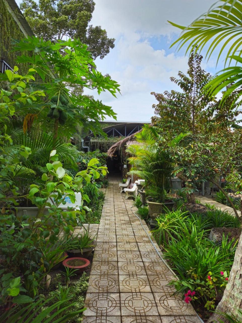 Homestay Bao Binh Ben Tre Buitenkant foto